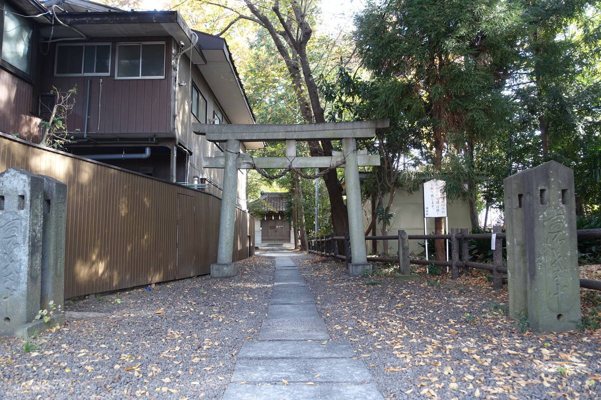 f:id:kojikint70:20211121204559j:plain