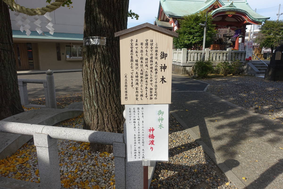 f:id:kojikint70:20211203143521j:plain