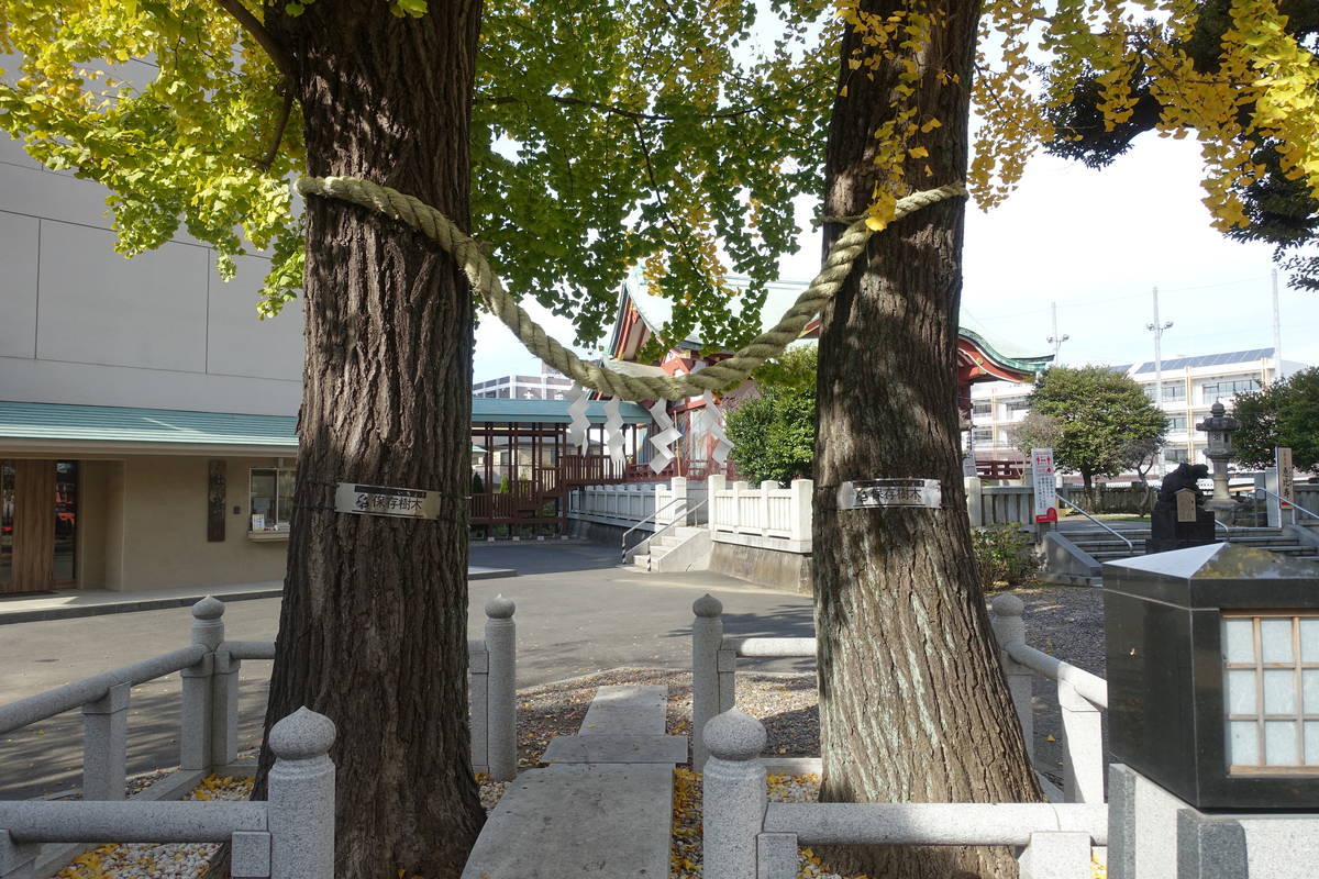 f:id:kojikint70:20211203143636j:plain