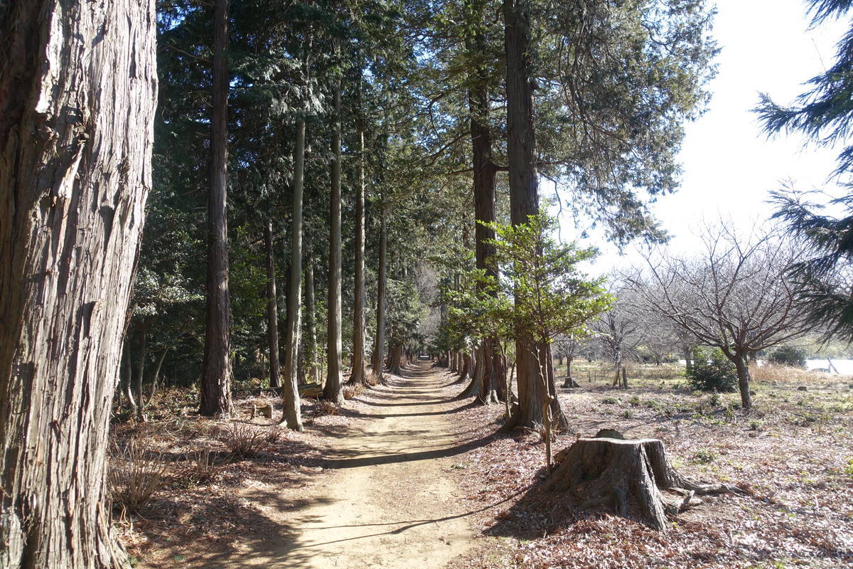 f:id:kojikint70:20220114115351j:plain