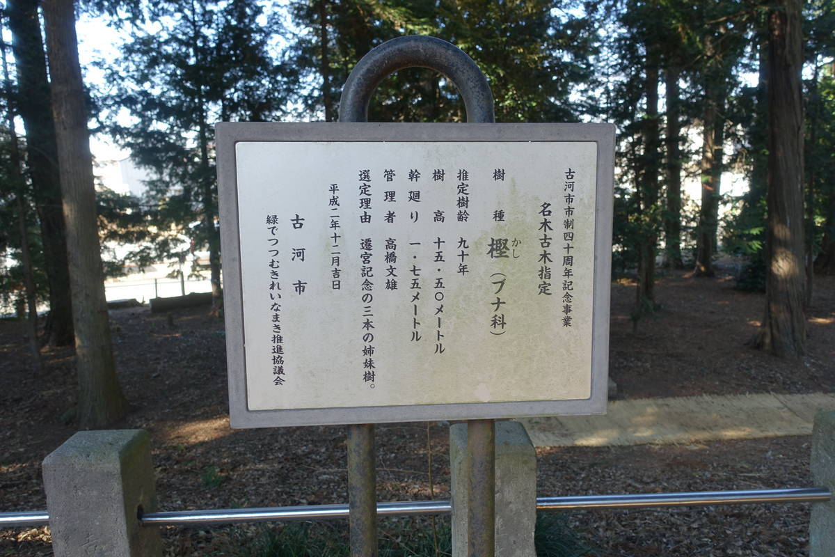 f:id:kojikint70:20220121194734j:plain
