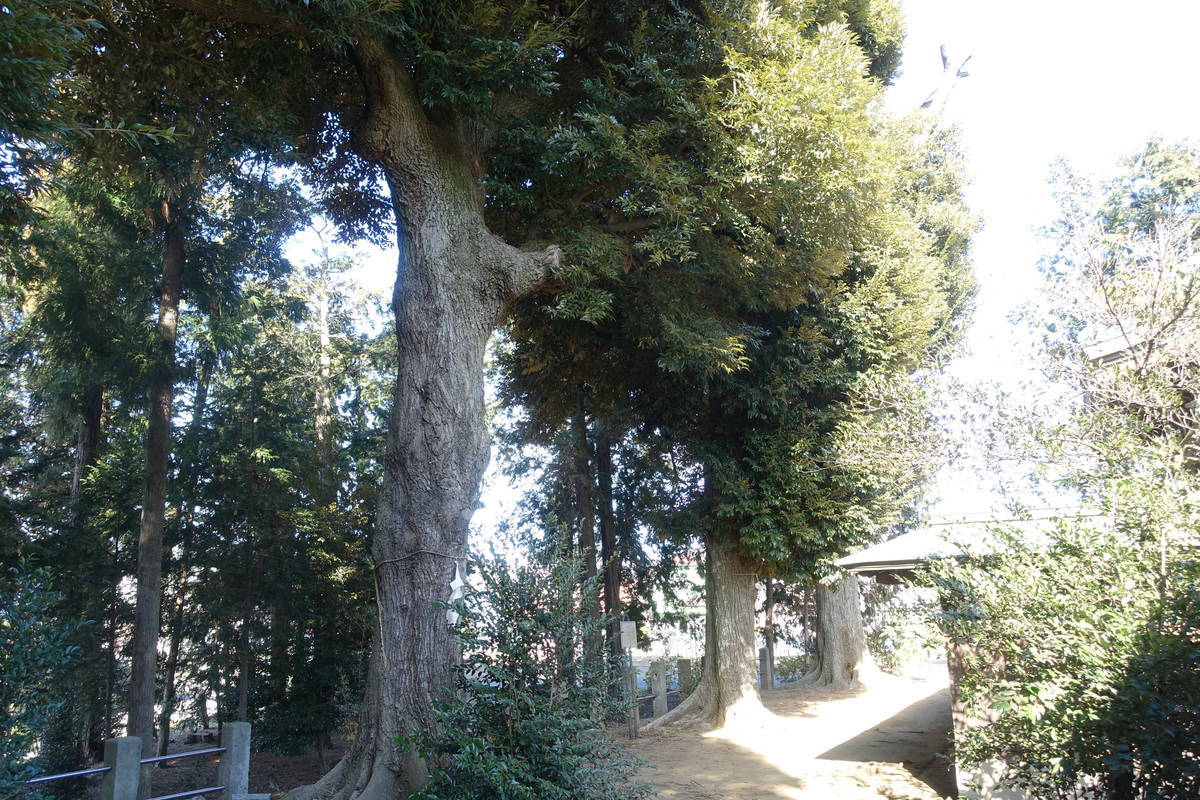 f:id:kojikint70:20220121194805j:plain