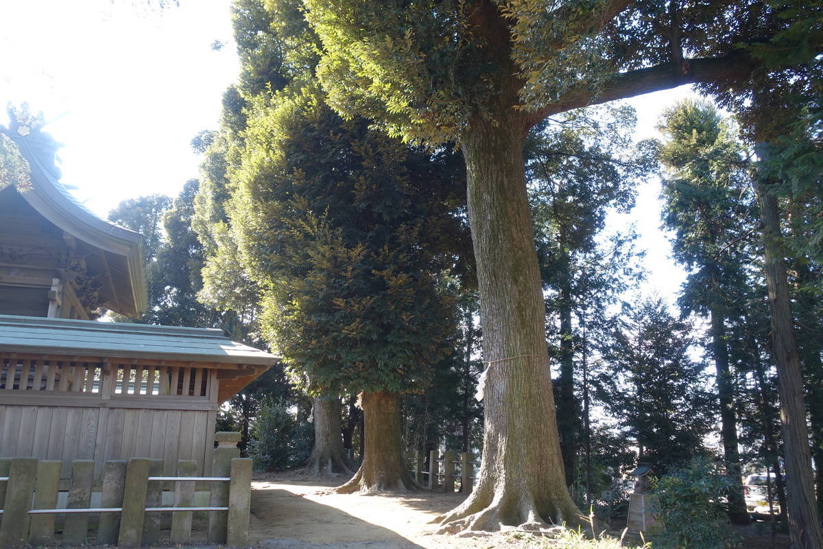 f:id:kojikint70:20220121194836j:plain
