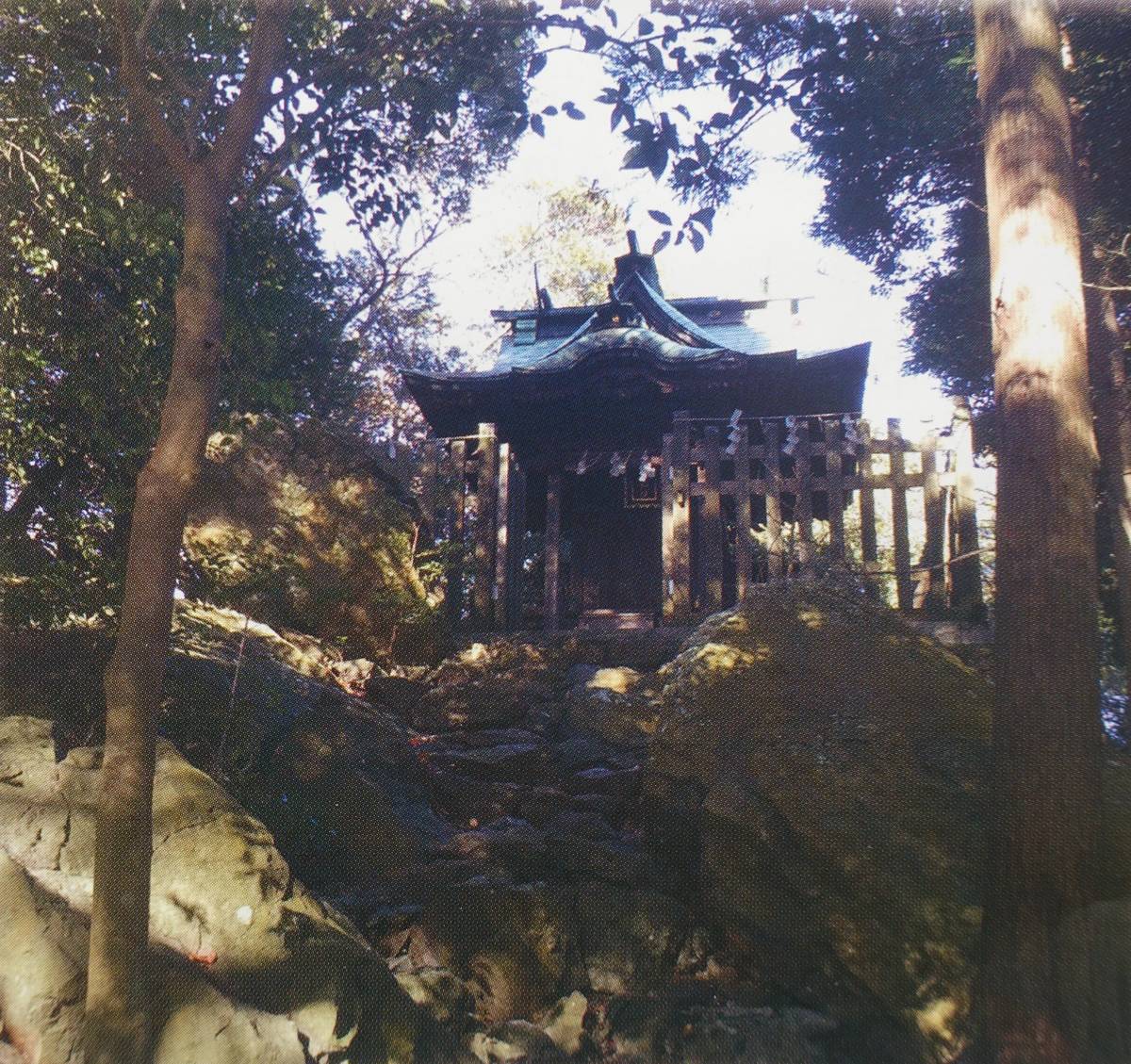 f:id:kojikint70:20220301100217j:plain