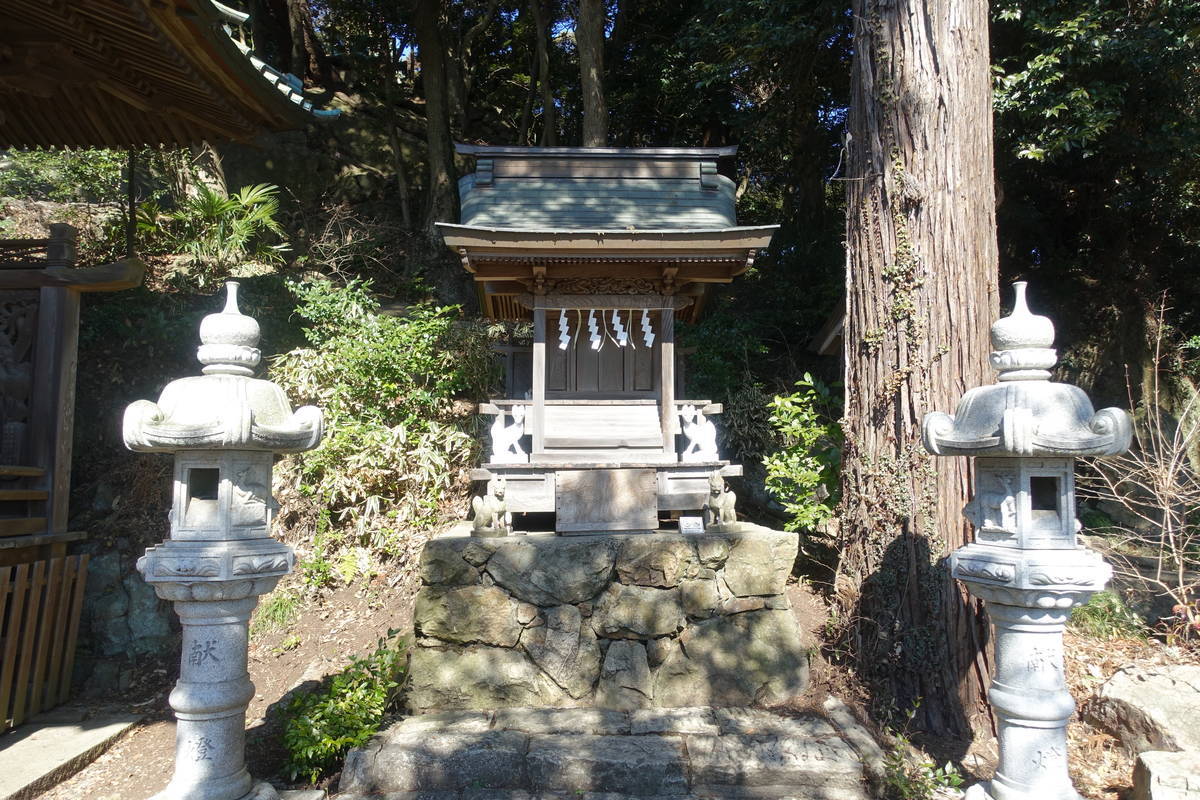 f:id:kojikint70:20220301101556j:plain