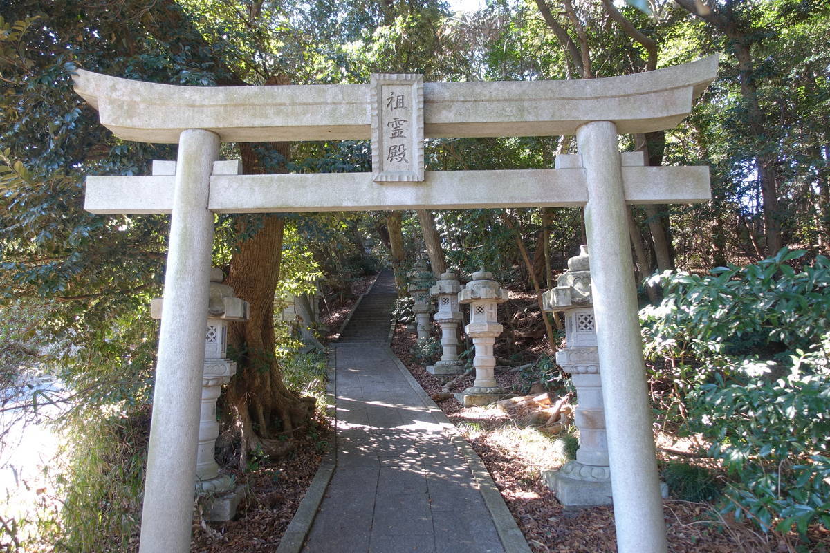 f:id:kojikint70:20220301143612j:plain