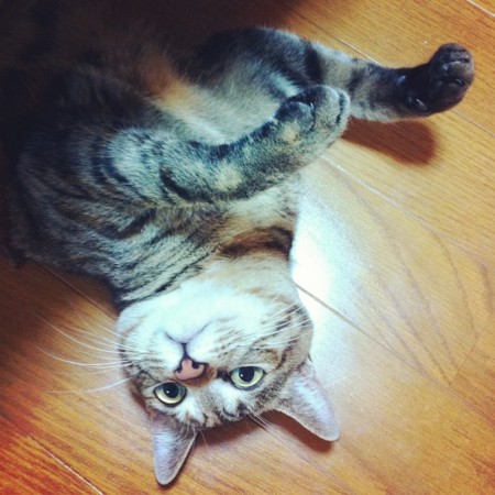 f:id:kojima41:20120311150429j:image f:id:kojima41:20120311150429j:image