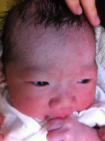 f:id:kojima41:20120522124457j:image