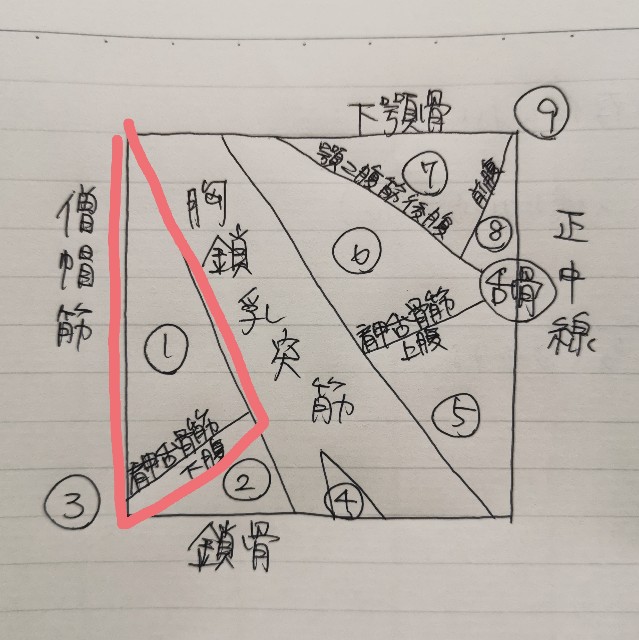 構成するものシリーズ 鍼灸マッサージ師のたまごの記録
