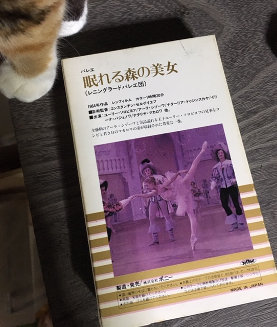 f:id:kojimarux:20190303220913j:plain f:id:kojimarux:20190303220913j:plain