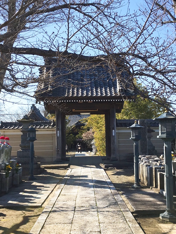 f:id:kojimarux:20190318210230j:plain f:id:kojimarux:20190318210230j:plain