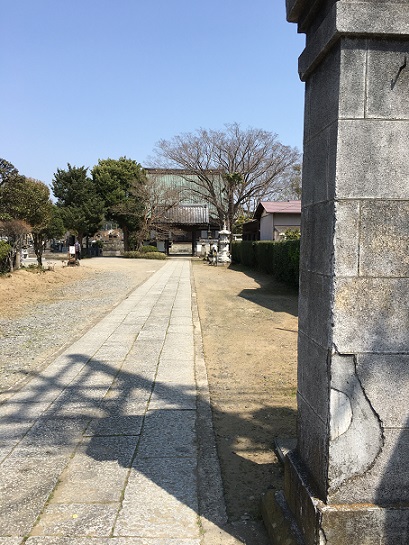 f:id:kojimarux:20190327122616j:plain f:id:kojimarux:20190327122616j:plain