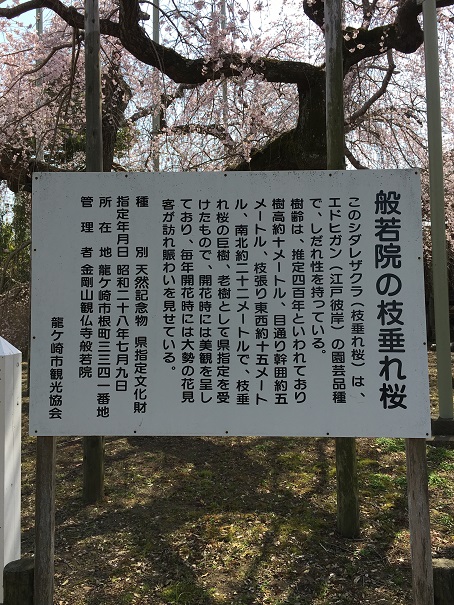 f:id:kojimarux:20190327122853j:plain f:id:kojimarux:20190327122853j:plain