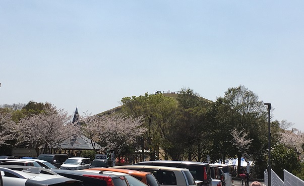 f:id:kojimarux:20190406123707j:plain f:id:kojimarux:20190406123707j:plain