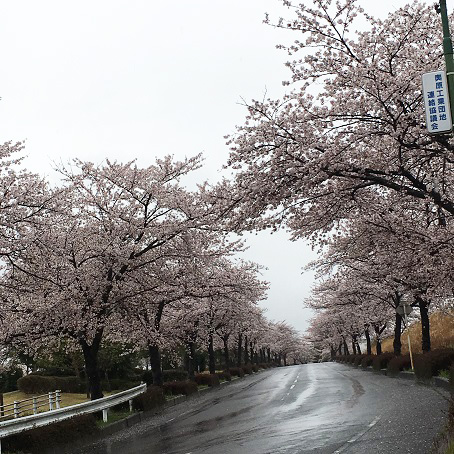 f:id:kojimarux:20190410135512j:plain f:id:kojimarux:20190410135512j:plain