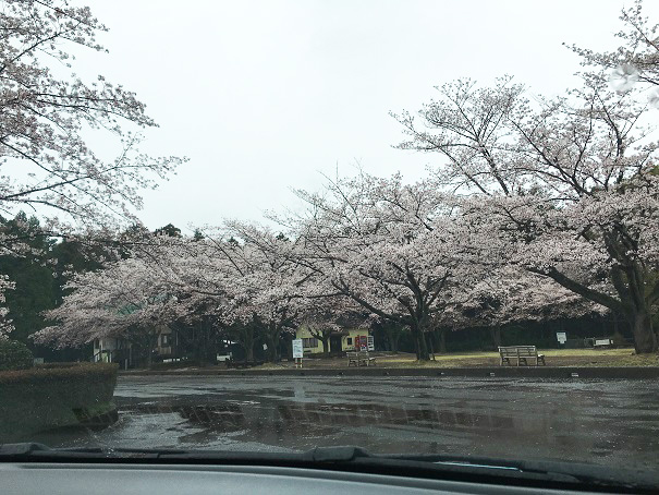 f:id:kojimarux:20190410135539j:plain f:id:kojimarux:20190410135539j:plain