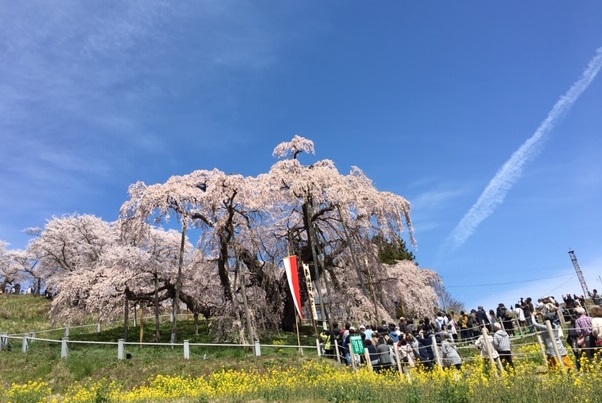 f:id:kojimarux:20190420203913j:plain f:id:kojimarux:20190420203913j:plain