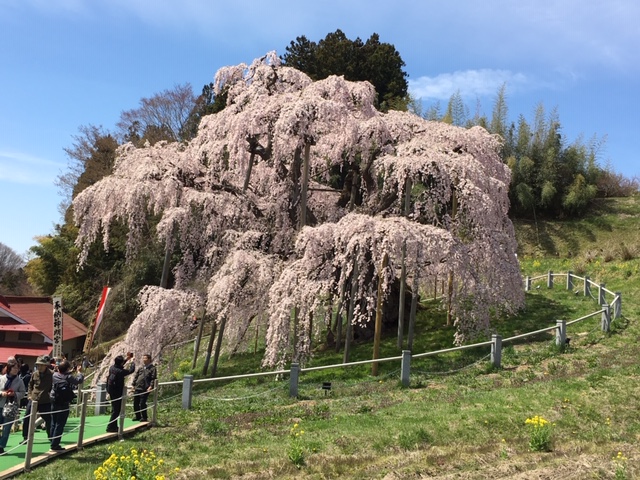 f:id:kojimarux:20190420204032j:plain f:id:kojimarux:20190420204032j:plain