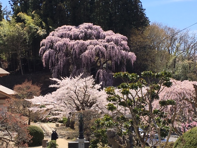 f:id:kojimarux:20190420204626j:plain f:id:kojimarux:20190420204626j:plain