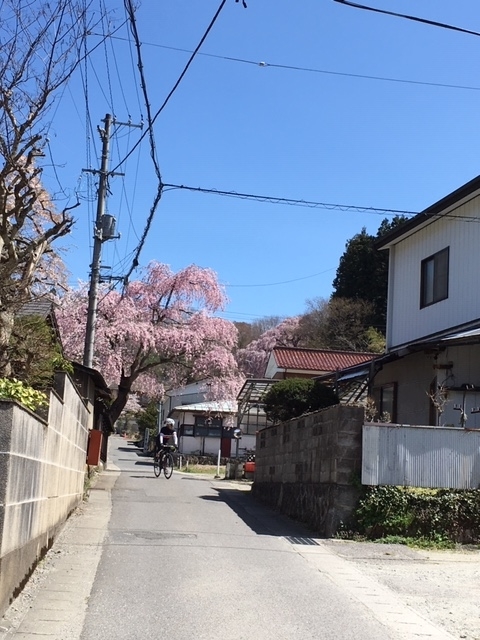 f:id:kojimarux:20190420221111j:plain f:id:kojimarux:20190420221111j:plain