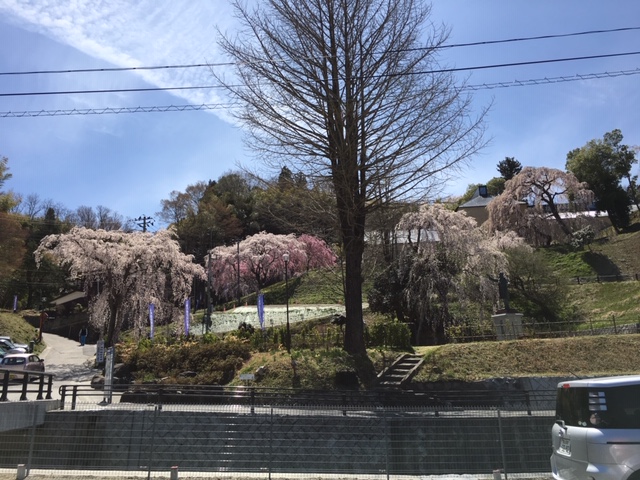 f:id:kojimarux:20190420221224j:plain f:id:kojimarux:20190420221224j:plain