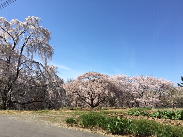 f:id:kojimarux:20190420221254j:plain f:id:kojimarux:20190420221254j:plain