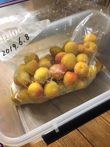 f:id:kojimarux:20190609012843j:plain f:id:kojimarux:20190609012843j:plain