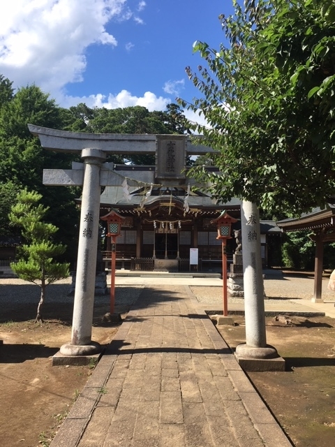 f:id:kojimarux:20200206115204j:plain f:id:kojimarux:20200206115204j:plain