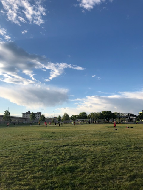 f:id:kojiousa:20190601143048p:plain f:id:kojiousa:20190601143048p:plain