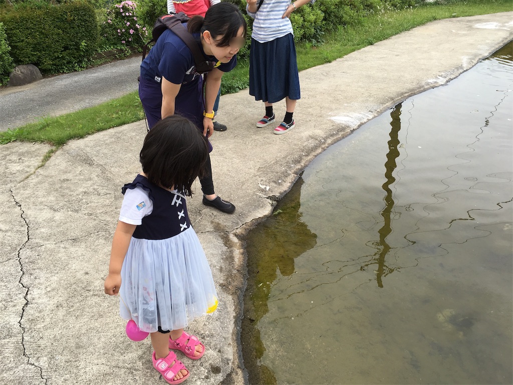 f:id:kojirocamp:20160606202358j:image f:id:kojirocamp:20160606202358j:image
