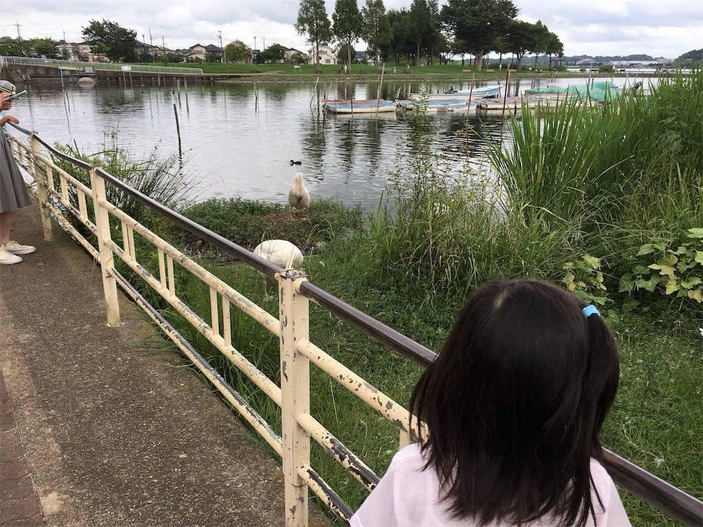 f:id:kojirocamp:20170820200625j:image f:id:kojirocamp:20170820200625j:image