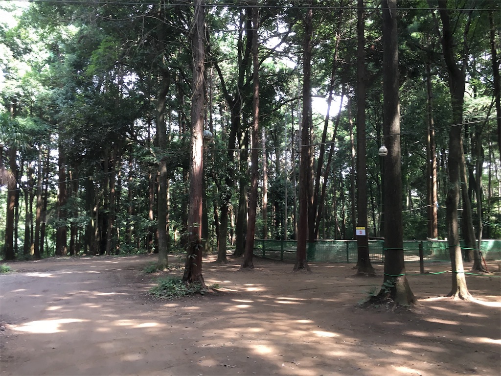 f:id:kojirocamp:20170904144421j:image f:id:kojirocamp:20170904144421j:image
