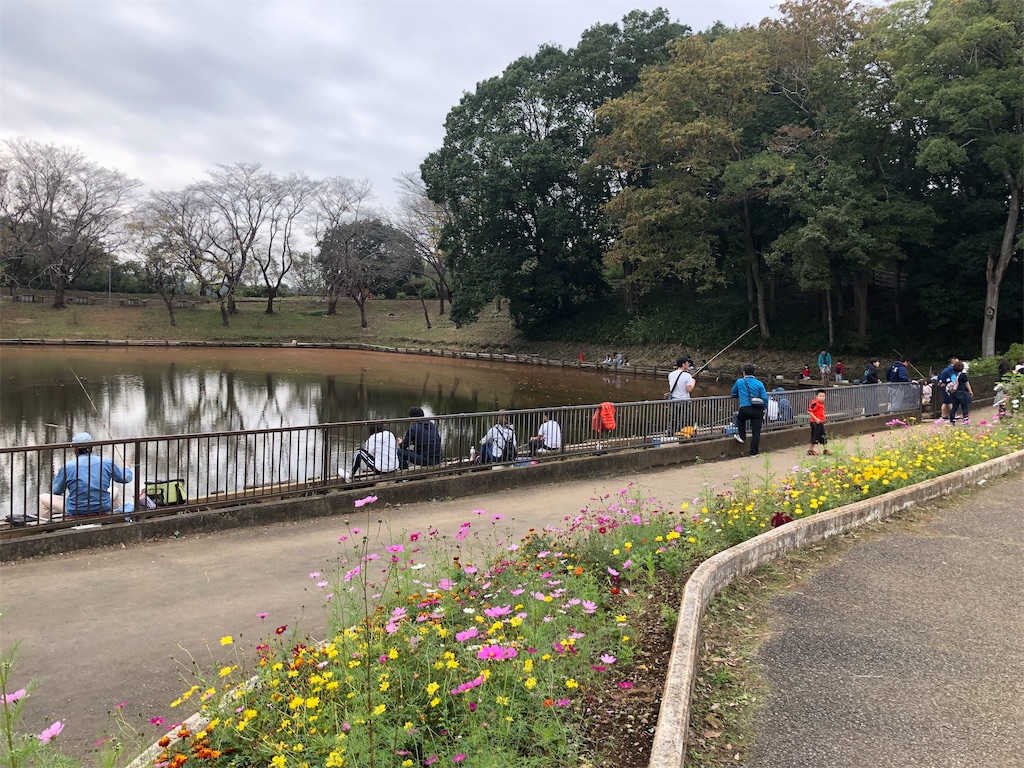 f:id:kojirocamp:20191107102834j:image