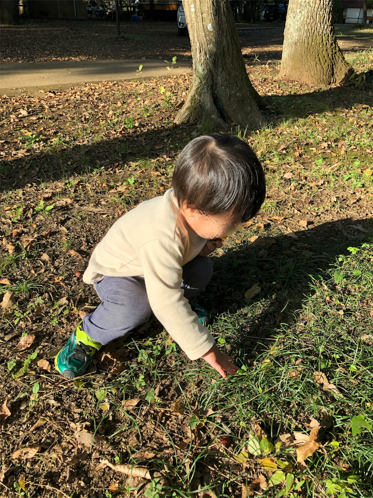 f:id:kojirocamp:20191107102919p:image