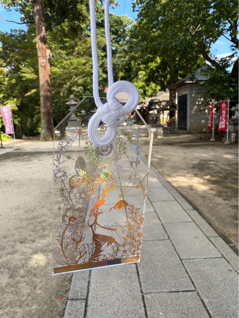 f:id:kojirocamp:20250802213125j:image