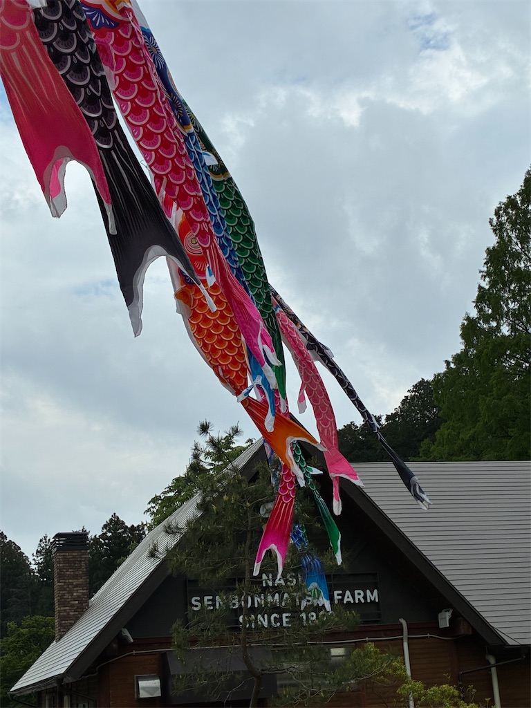 f:id:kojirocamp:20260512220506j:image