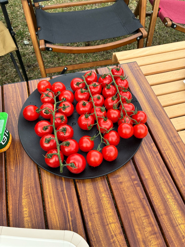 f:id:kojirocamp:20260512232344j:image