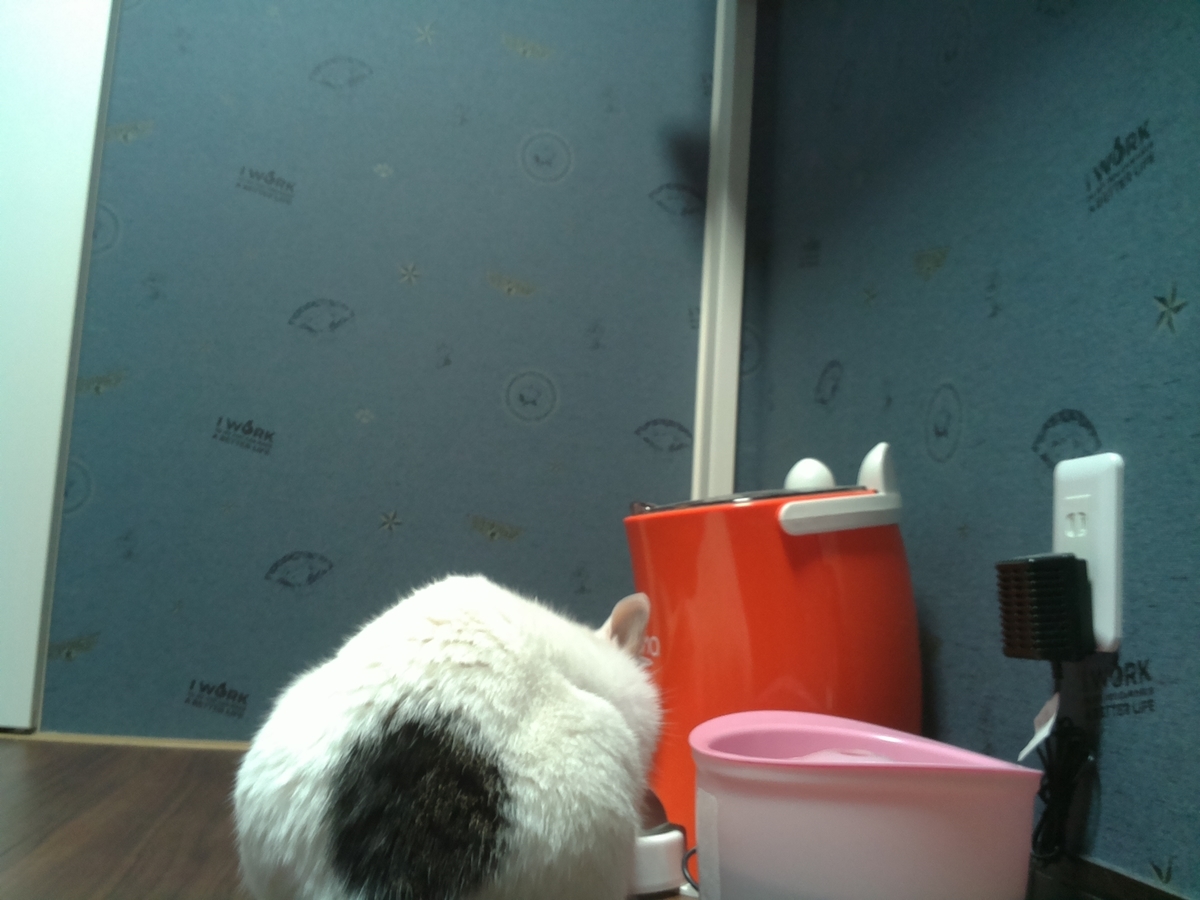 f:id:kojirooooocks:20191208034038j:plain