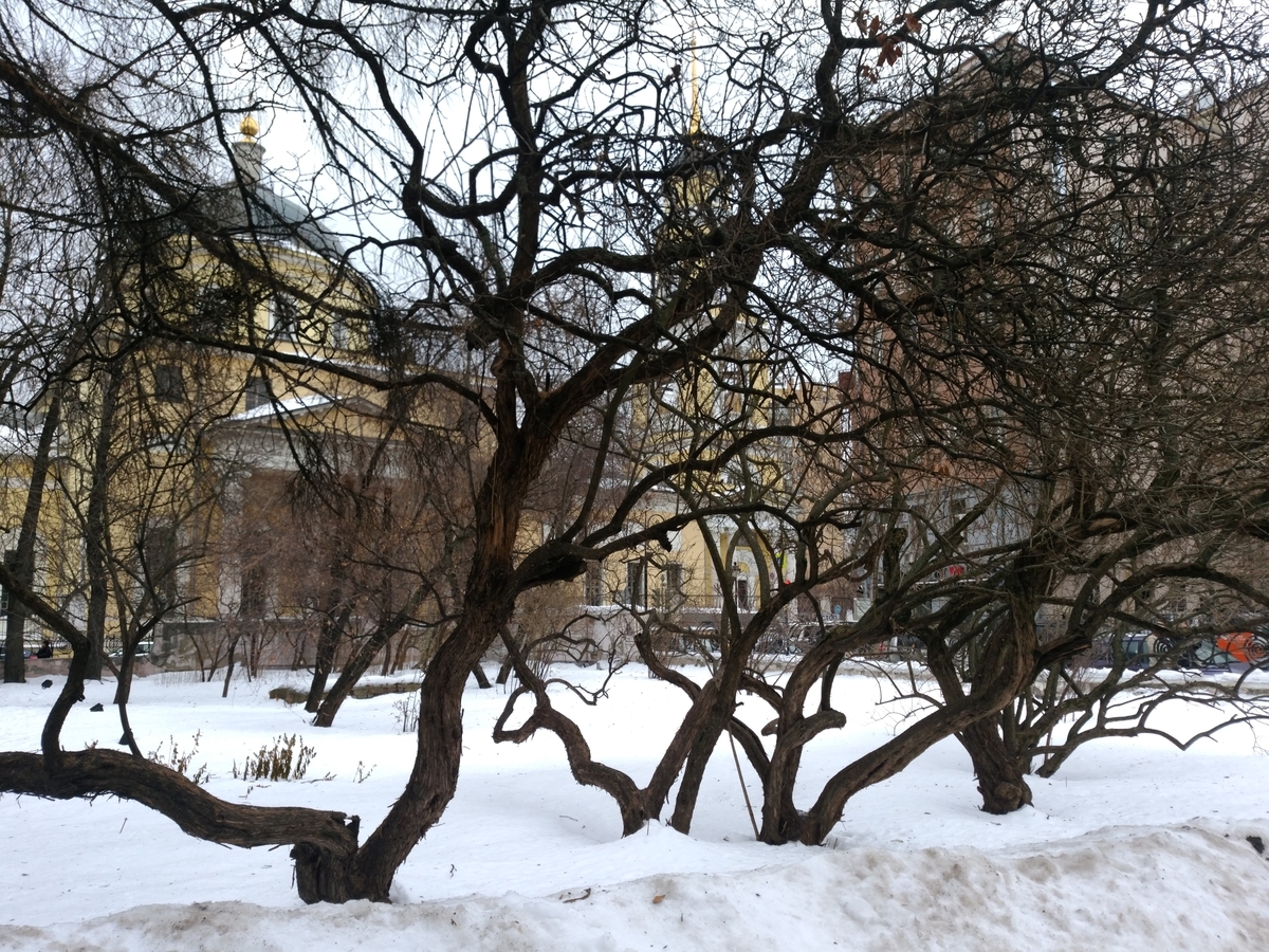 f:id:kojirowombat:20190511183712j:plain f:id:kojirowombat:20190511183712j:plain