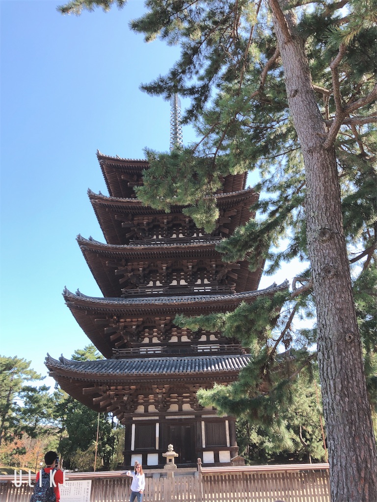f:id:kojisw:20191120092409j:image
