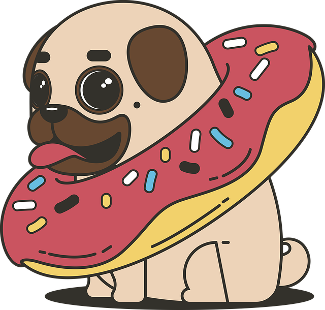 f:id:kojitakahashi6:20180311231518p:plain f:id:kojitakahashi6:20180311231518p:plain