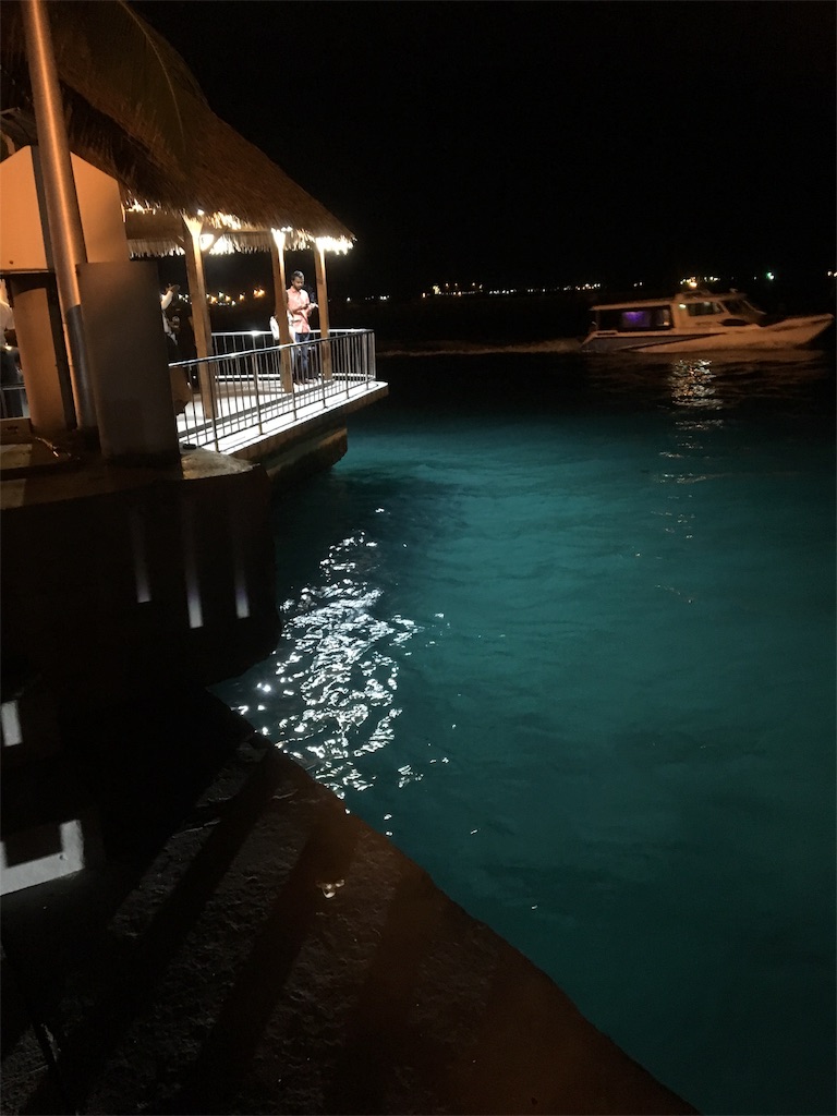 f:id:kojiwithkoji:20181019104939j:image