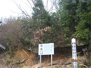 f:id:kojiyamane:20170109120818j:plain f:id:kojiyamane:20170109120818j:plain