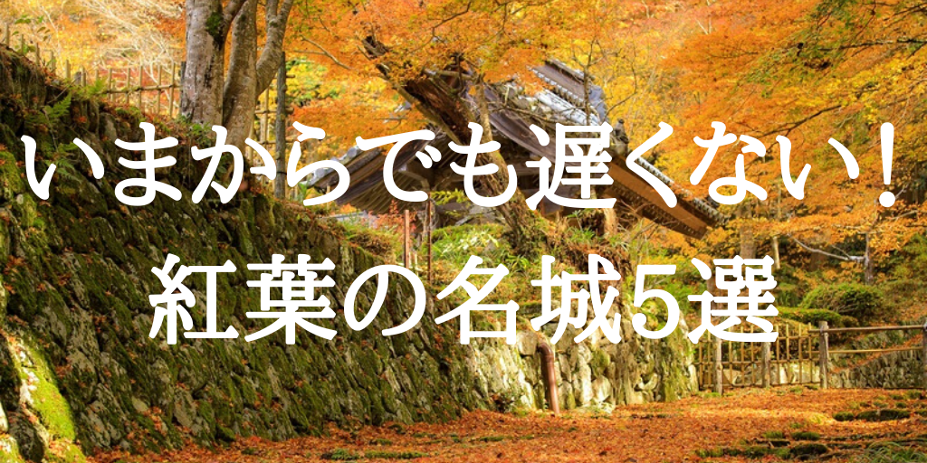 地上の天国」から「日本一美しい山城」まで――全国の城好きが選ぶ紅葉の