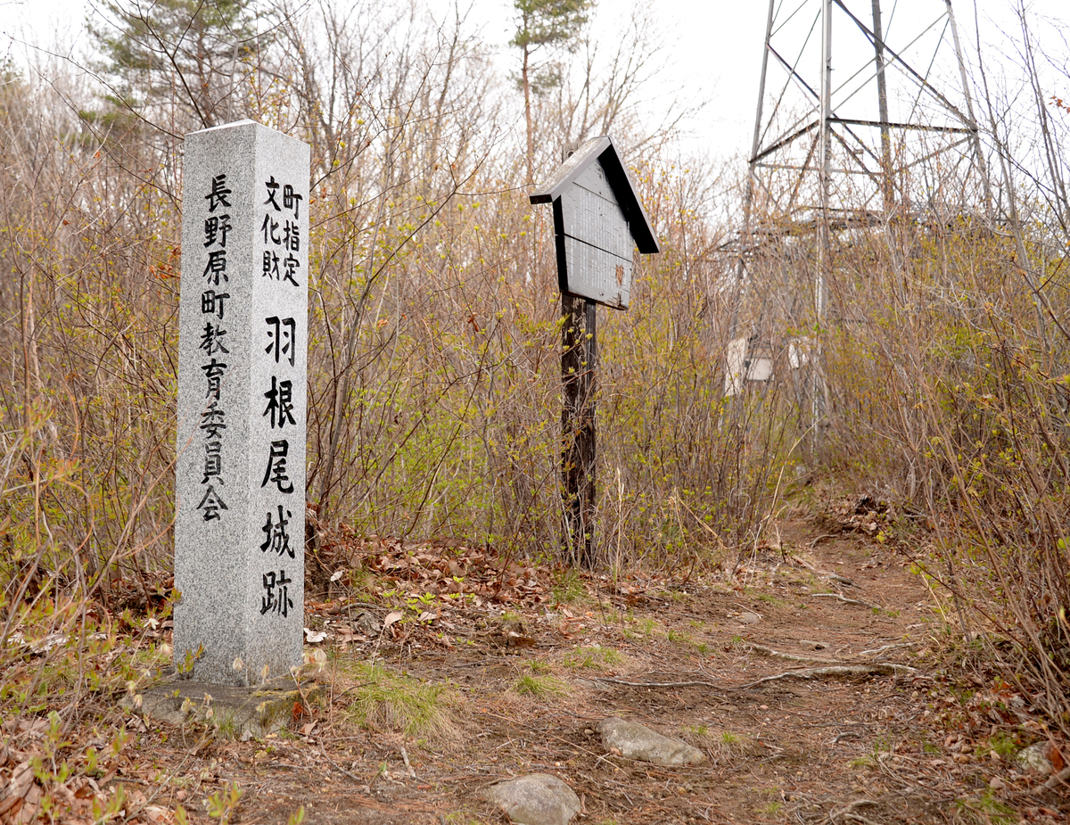 f:id:kojodan:20210528105046j:plain