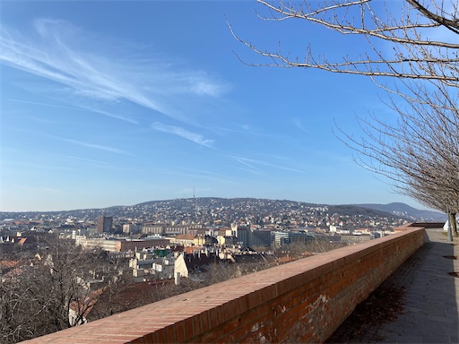 f:id:kok30:20200216010248j:image