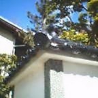 f:id:kokada_jnet:20060208220937j:image