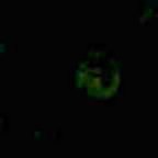 f:id:kokada_jnet:20060419120656j:image