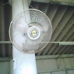 f:id:kokada_jnet:20060427190915j:image