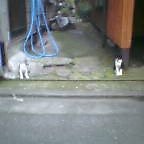 f:id:kokada_jnet:20060722210101j:image f:id:kokada_jnet:20060722210101j:image